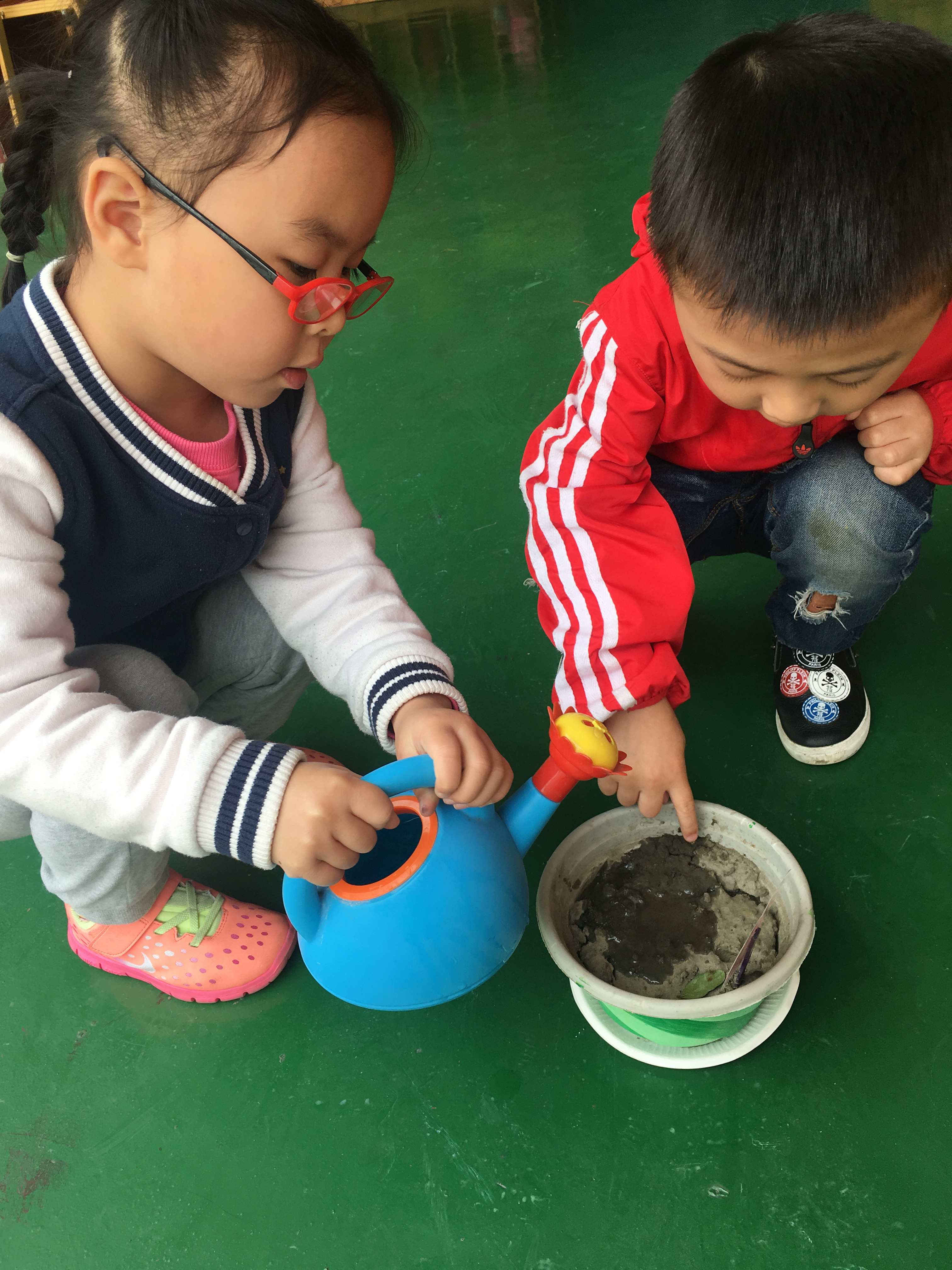 快来给花生浇浇水，它都口渴了